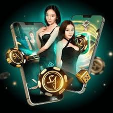 aw8pro